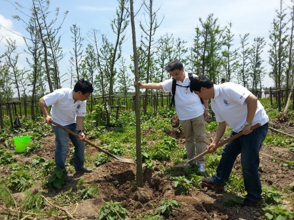 植樹活動